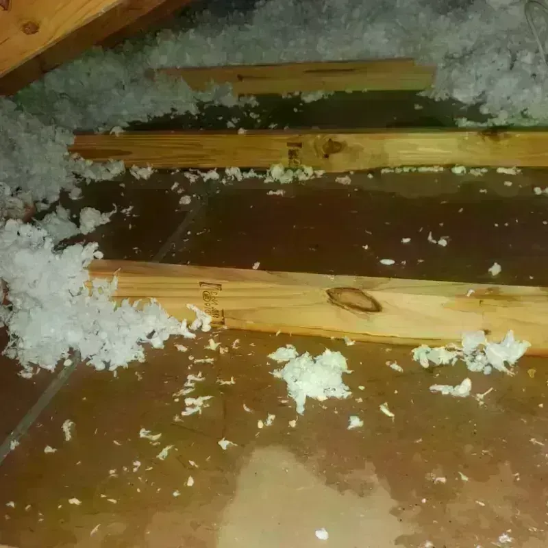 Attic Water Damage in Olivehurst, CA