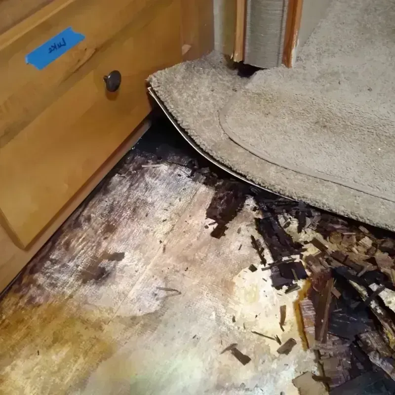 Best Wood Floor Water Damage Service in Olivehurst, CA